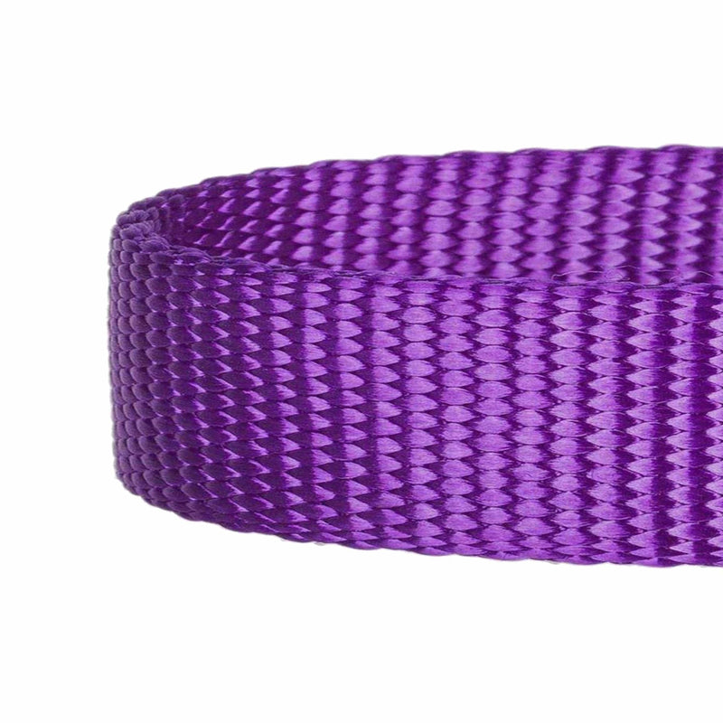 Blueberry Pet Essentials Matching Dog Collar and Double Handle Leash Set in Dark Orchid, Adjustable Classic Solid Color Nylon Collar with 5 ft Leash for Medium Dogs Dark Orchid - Collar + Double Handle Leash - PawsPlanet Australia