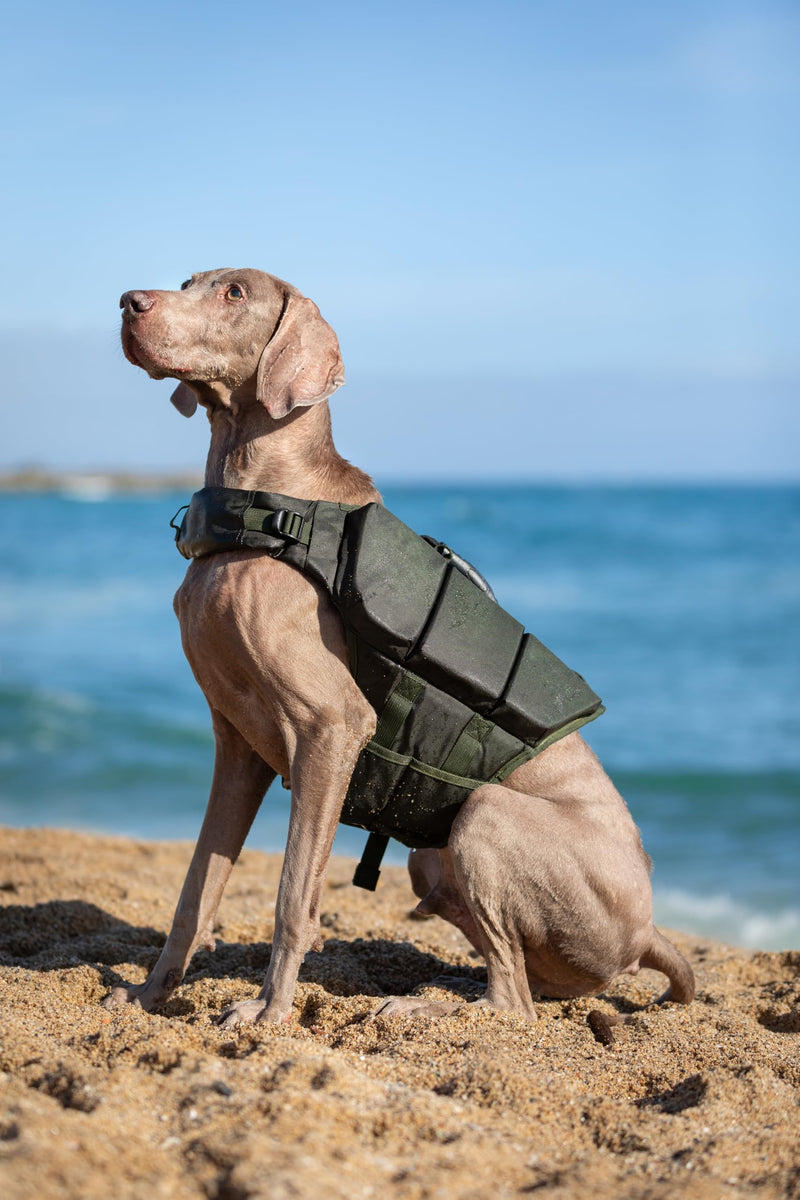NOAH & PAW Dog Life Jacket, Human Standards Lifejacket Design, Dog Life Vest for Swimming and Boating, 3X Foam Support for Max Floating, Breathable Mesh, Salvavidas para Perros, Size M 3 Cubes - PawsPlanet Australia