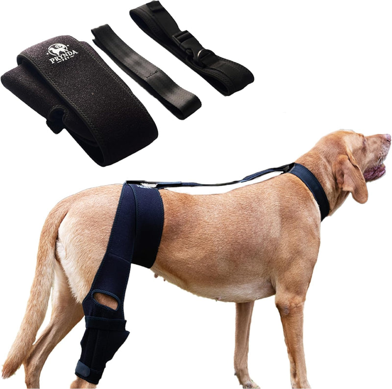 Dog Brace for Acl Tear Back Leg - Hip Dysplasia Brace for Dogs - Dog Hip Brace - Acl Brace for Dogs - Knee Brace for Dogs with Torn Acl - Dog Acl Knee Brace - Dog Acl Brace Hind Leg - Dog Acl Brace -S Small - PawsPlanet Australia