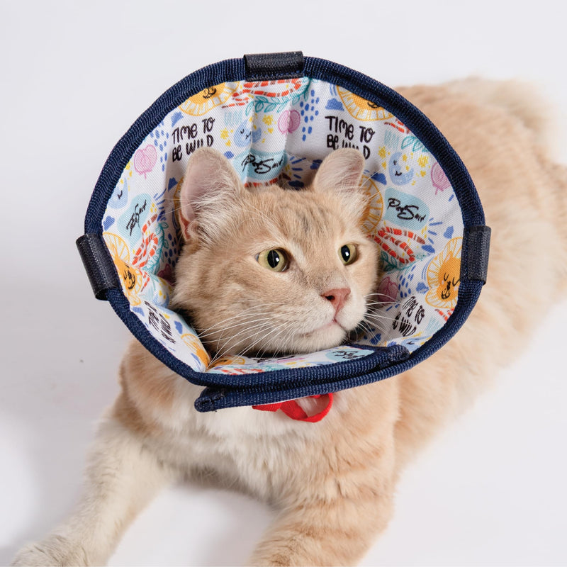 Cat Cone Collar – Colorful Cat Pattern - Lightweight Recovery Cone for Cats, Anti-Lick & Anti-Scratch, Vet Recommended, Elizabethan Collar (Colorful, XXS Long [Neck Girth: 7.5"-10.3"]) XXS Long [Neck Girth: 7.5"-10.3"]