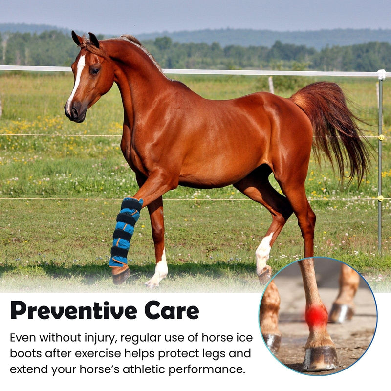 Reusable Gel Horse Ice Boots – 2 Pack Cold Therapy Gel Wraps with Adjustable Straps for Horses’ Leg, Ankle, and Knee, Reusable Cooling Boots for Equine Care & Equestrian Use Aqua Blue with Orange Trim - PawsPlanet Australia