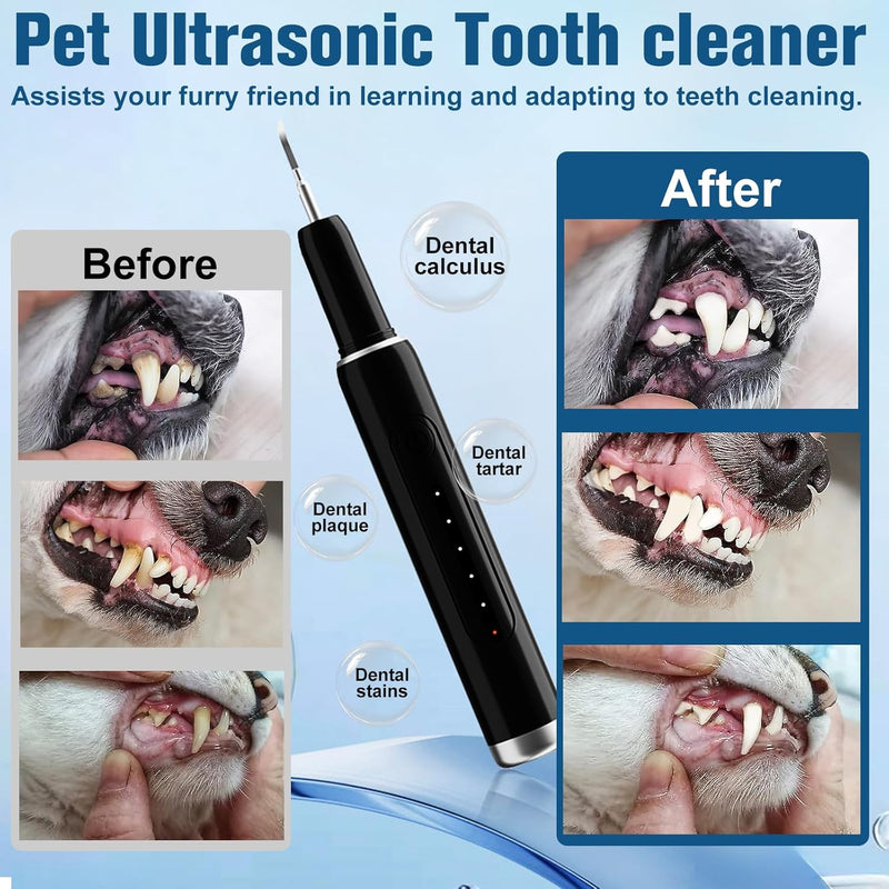PAWZIDEA Dog Plaque Remover for Teeth Ultrasonic 44kHz, Intelligent Pet Ultrasonic Tooth Cleaner, Tartar Remover for Dog Teeth Cleaning Kit, Canine/Cat Toothbrush Scaler Dental Care Tool, Rechargeable Black - PawsPlanet Australia