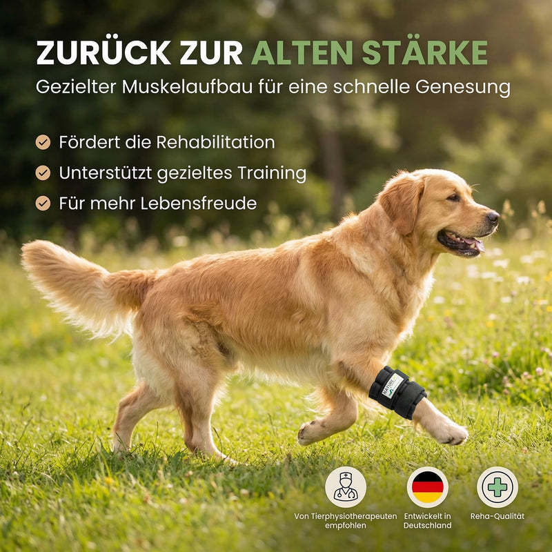 Nature Pet Therapy Cuff/Training Bandage with Weights for Dogs (S) s