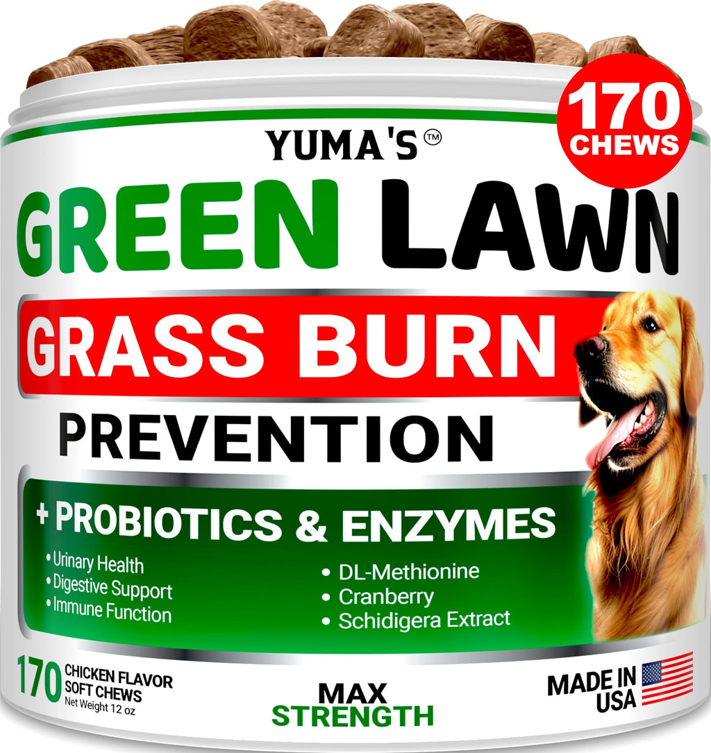 Dog Urine Neutralizer for Lawn - 170 Chews - Advanced Green Grass Savers for Dog Urine - Dog Pee Grass Neutralizer Supplement - Green Lawn Treats for Dogs with Probiotics and Digestive Enzymes Chicken Green Lawn - 120 Chews