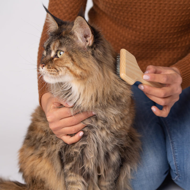 WIDU - Brush for Dogs and Cats, Ideal for Small Pets with Long Hair, Professional Carder in Ash Wood, Handmade in Italy - 16 x 7 cm, with 20 mm Long Teeth and 70° Inclination S
