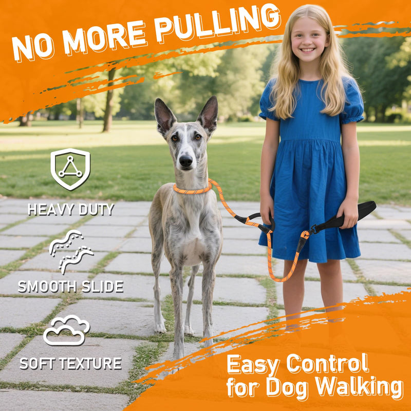 Slip Lead for Dogs, No Pull Training Leash with Double Comfortable Handles and Collar Attachment, Highly Reflective Strong Puppy Rope Leads for Medium Large Dog, Orange 13mm*1.8m - PawsPlanet Australia