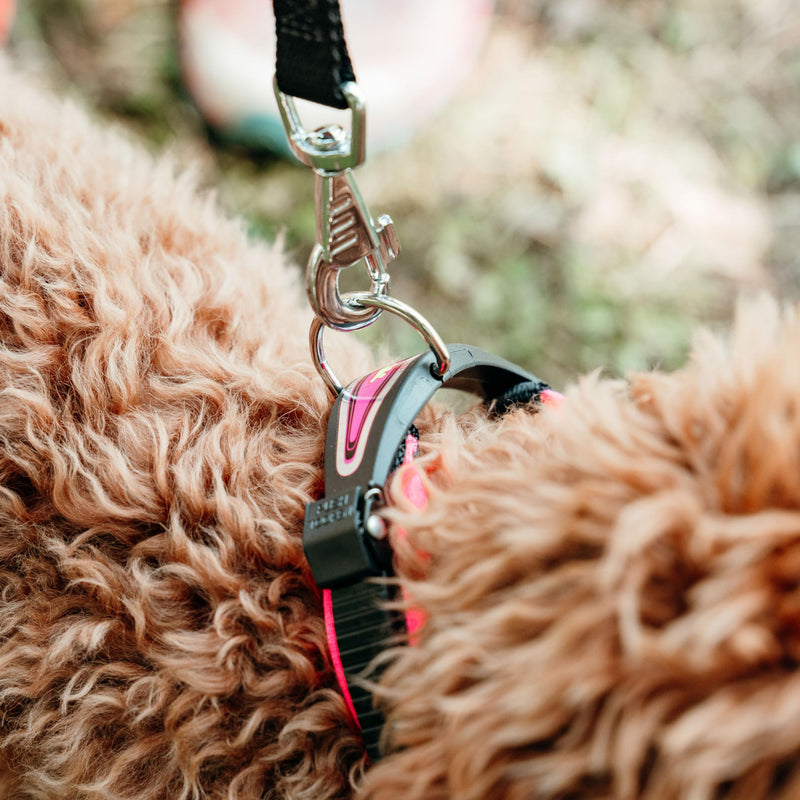 Ferplast Ergofluo Dog Collar, 25-33 cm, Fuchsia - PawsPlanet Australia