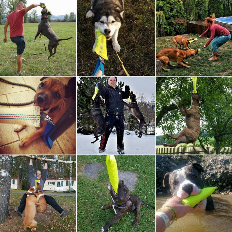 Dog Bite Tug Toy 10 inches - Durable, Interactive Toys for Medium to Large Dogs - Perfect for Tug of War, Fetch & Puppy Training - Safe Fire Hose Dog Tug with Strong Handle - Tough Floating Pull Toy - PawsPlanet Australia