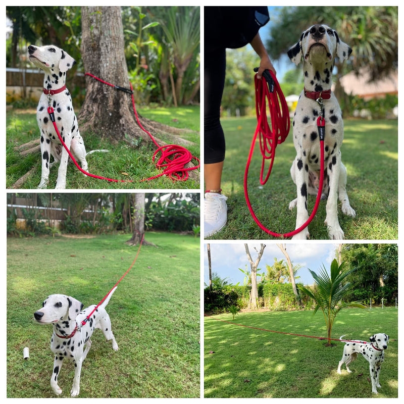 Tuff Pupper Heavy Duty 30 Foot Long Rope Leash for Dogs | Dog Recall Training Leash | High Visibility Strong Climbing Rope Leash | Hand or Waist Worn | Stainless Steel 360° Clips for Tangle Free Use March Red - PawsPlanet Australia