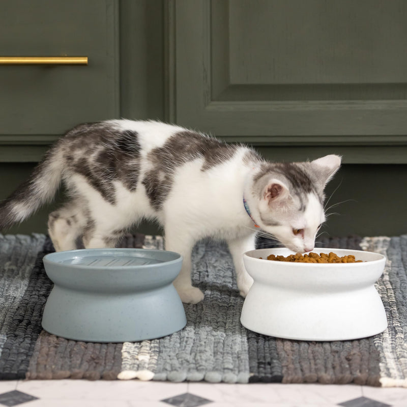 Kitty City Raised Cat Food Bowl Collection/Stress Free Pet Feeder and Waterer and Slow Feed Bowls 2 Bowls/Small Slow Feed - PawsPlanet Australia