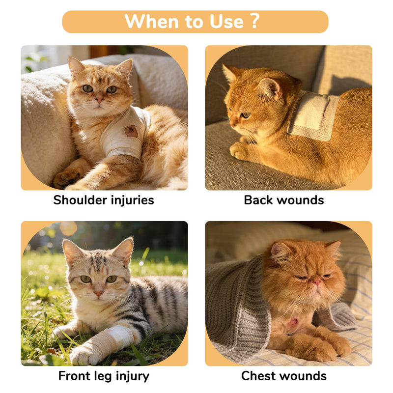 PUMYPOREITY Adjustable Cat Recovery Shirt, Front Leg Injury Suit, Stretchable & Comfortable, Anti-Licking Long Sleeve Wound Cover, Prevents Scratching & Biting, Machine Washable, Orange, L Large