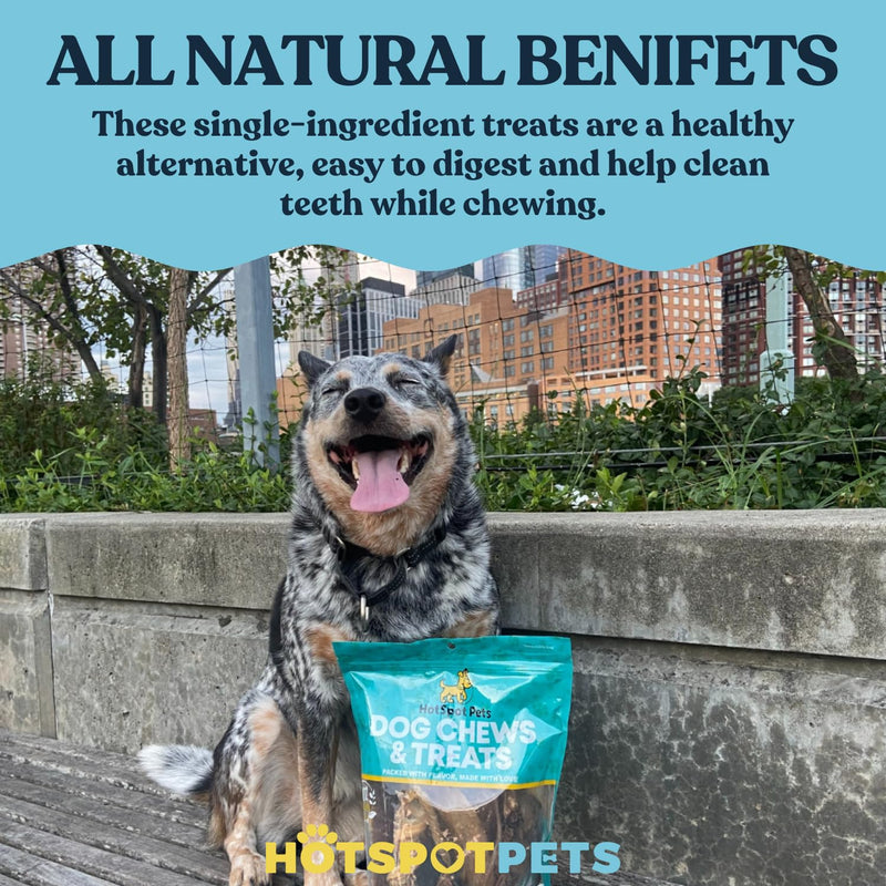 hotspot pets Beef Esophagus Dog Treats (6 INCHES) (1LB Bag) Grass Fed with No Added Hormone All Natural Jerky Dog Treats - Chews Rich in Glucosamine & Chondroitin for Joint Health 6 Inch - 1LB - PawsPlanet Australia