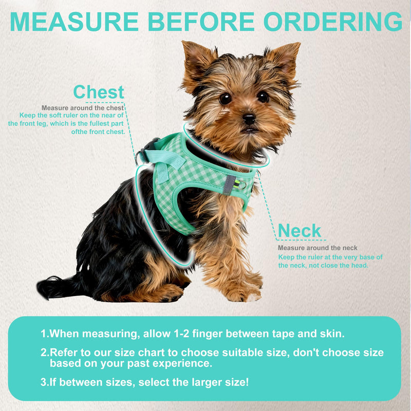 AIITLE No Pull Dog Harness and Leash Set, Step in No Chock Soft Mesh Dog Harnesses Reflective for Extra-Small Puppy Dogs and Cats, Plaid Dog Vest Harness for Pets Turquoise XXS - PawsPlanet Australia