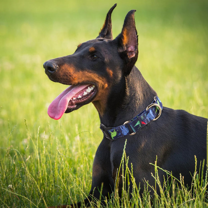 Rhea Rose Dog Martingale Collar with Quick Release Buckle, Adjustable Soft Escape Proof collar, Training collar, Dinosaur Patterns, Medium - PawsPlanet Australia