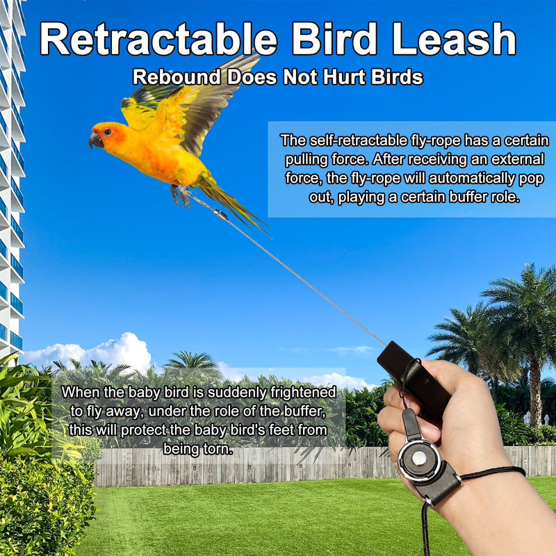 Retractable Bird Leash,Parrot Flying Rope,Anti-Bite Wire Rope Parrot Leash,Adjustable Bird Leash Harness for Training,with 5pcs Alloy Foot Rings,for Budgies,Cockatiels,Crested Cockatoo,Macaws,20ft - PawsPlanet Australia