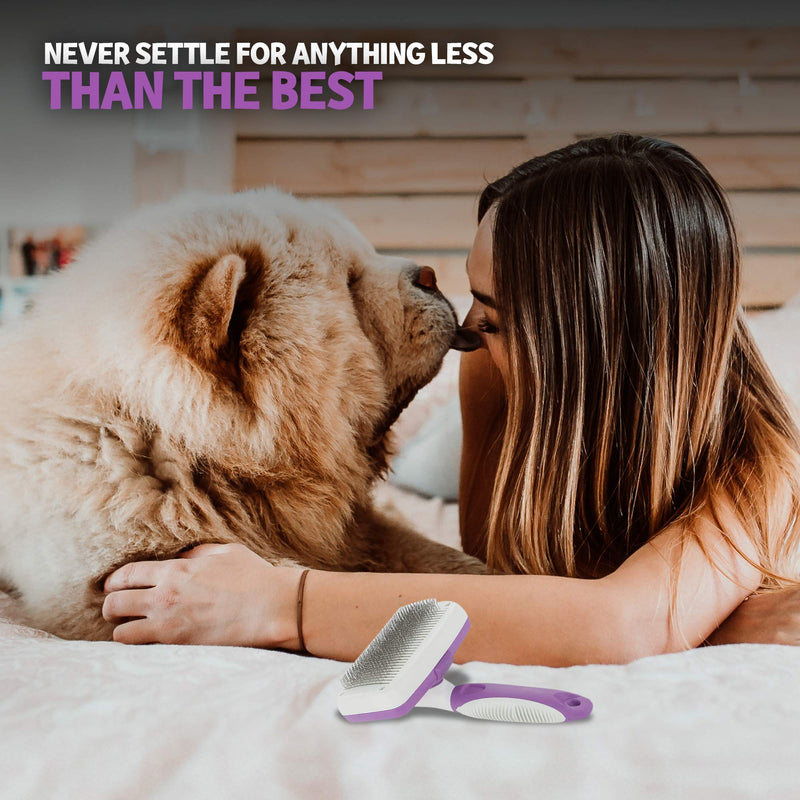 POODLIE Dog Grooming Brush, Self Cleaning Slicker Brush for Dogs and Cats - Removes Tangles, Loose Hair - Poodles, Pomeranians, Yorkies, Soft Pins - Purple 1 Count (Pack of 1) - PawsPlanet Australia