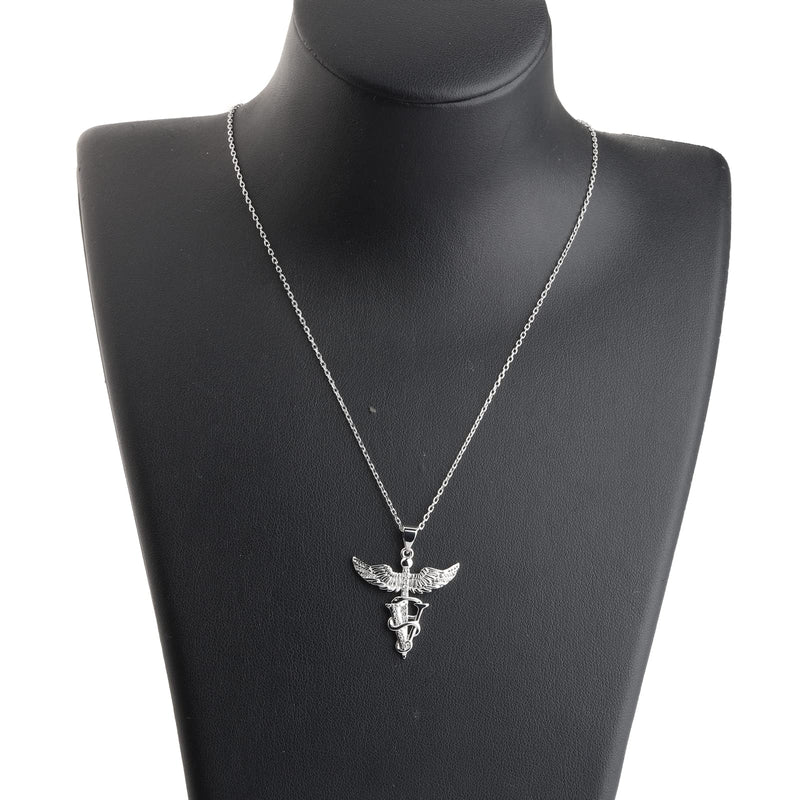bobauna Veterinary Caduceus Pendant Necklace Vet Tech Jewelry Appreciation Gift for Veterinarian Nurse With Message Card Vet noun necklace - PawsPlanet Australia