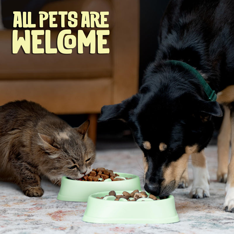 Slow Feeder Dog Bowl (Small/Medium Dogs) - Anti Choke, Anti Bloat - Medium Dog Bowl Slow Feeder Slow Feeder Dog feeders to Slow Feeding Dog Bowls (Mint Green) Mint Green - PawsPlanet Australia