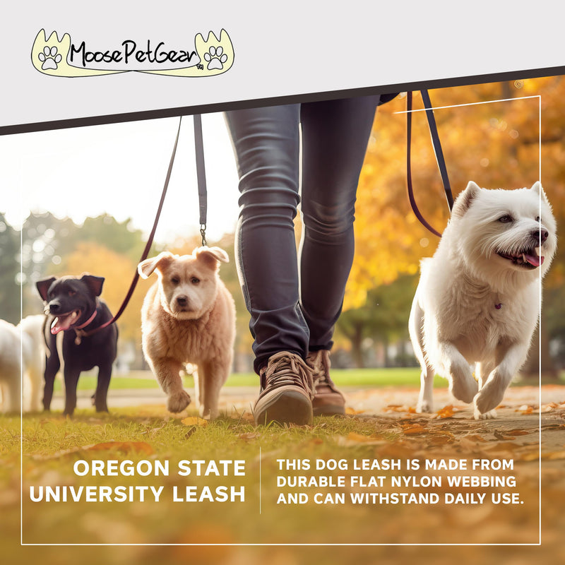 Dog Leash – Oregon State University Beavers Pet Leash, Made in the USA – 1 Inch Wide x 6 Feet Long, Beaver on Carbon Fiber 1 inch by 6 feet - PawsPlanet Australia