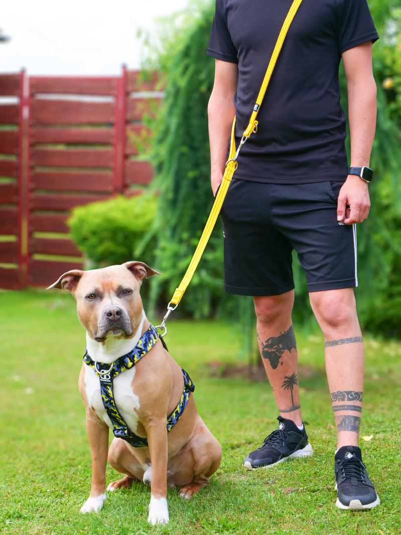BullyBillows Double Ended Dog Lead | Multi-Functional Lead | Medium or Long Length for Obedience Work or Distance Training | Khaki 6.56 feet