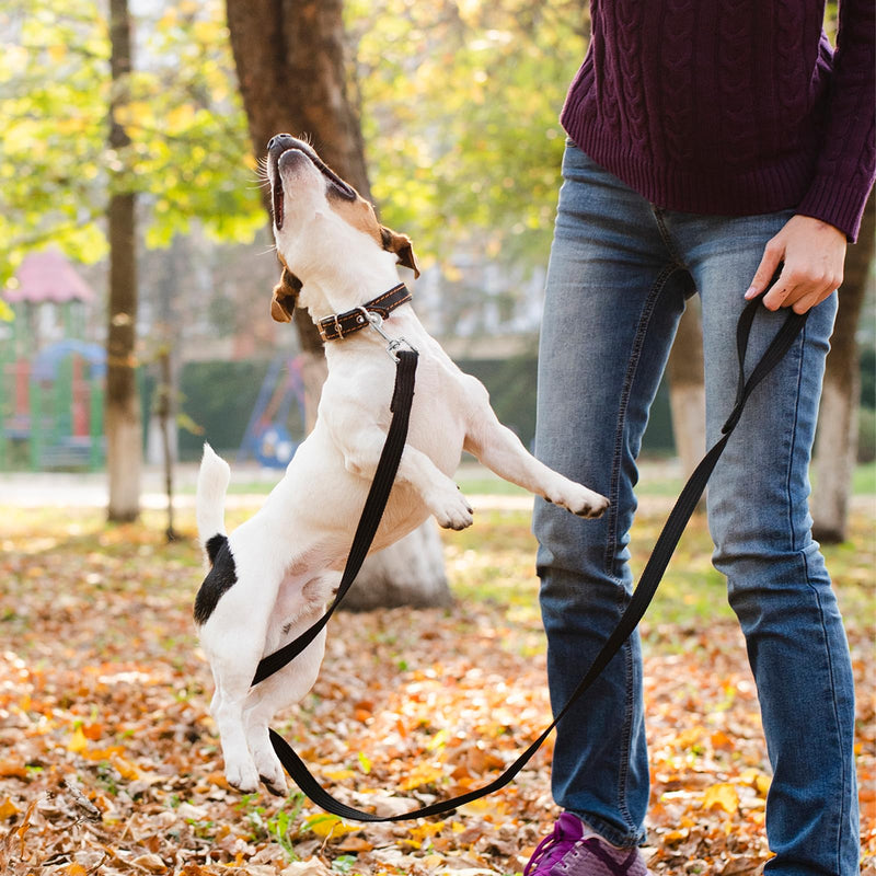 15 Pcs Puppy Leash Nylon Dog Leash Bulk Pet Rope Leashes with Swivel Hook 5ft Training Leashes for Small Medium Dogs Training Walking Hiking Camping Or Backyard (15 Colors) - PawsPlanet Australia
