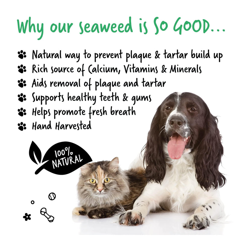 BUGALUGS Plaque Off Remover For Dog 70g Teeth & Bad Breath 100% Natural | Plaque Off Dogs No Need For Dog Toothbrush or Dog Toothpaste | Remove Dog Bad Breath & Plaque Remover For Dogs & Cats (70g) - PawsPlanet Australia