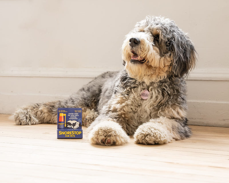 Snore Stop for Pets 40 Sprays I Natural Anti-Snoring Solution I Snore Relief for Dogs Cats I Stop Snoring Aid I Sleep Remedy I Help Stop Dog Snores I Anti-Snore Aid 1 - PawsPlanet Australia