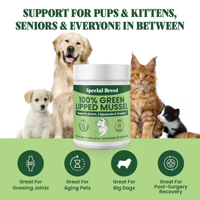 Special Breed Green Lipped Mussel Powder for Dogs & Cats - 100% New Zealand Green Lipped Mussels - Natural Hip & Joint Supplement for Joints, Tendons, Ligaments, Muscles - 400 Grams - 1,333 Servings