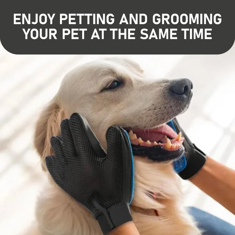Maxpower Planet Hair Brush & Grooming Gloves for Dogs and Cats - Blue - PawsPlanet Australia