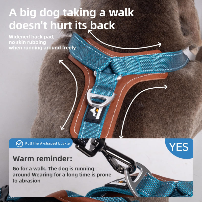 Reflective Dog Harness, Adjustable L-Shape Vest for Small Medium Large Dogs, No Pull Pet Harness for Walking and Training, Enhanced Comfort and Safety (Pack of 1 Blue, S) - PawsPlanet Australia