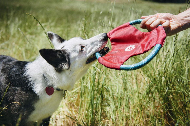 ZippyPaws - Rope Gliderz Durable Outdoor Dog Toy Flying Disc - Magenta