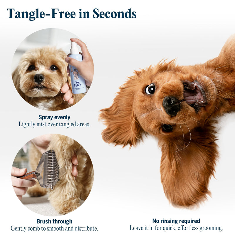 FlyDog Dog Detangler Spray with Dematting Comb for Dogs - Pet Hair Detangling Spray for Dogs & Cats, Dog Conditioner for Removes Tangle, Deodorizing and Grooming Detangler Spray + Premium Pet Grooming Rake