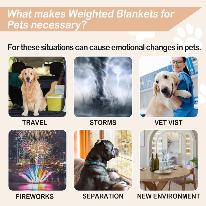 YUSRA Small Weighted Blanket for Dogs, Warm Minky Dog Blanket Especially for Thunderstorms, Fireworks, Separation, Travel, Bed and Couch, Machine Washable, Soft Dog Blanket (Grey, 24 * 32inch 2lbs) 24*32inch 2lbs Grey - PawsPlanet Australia