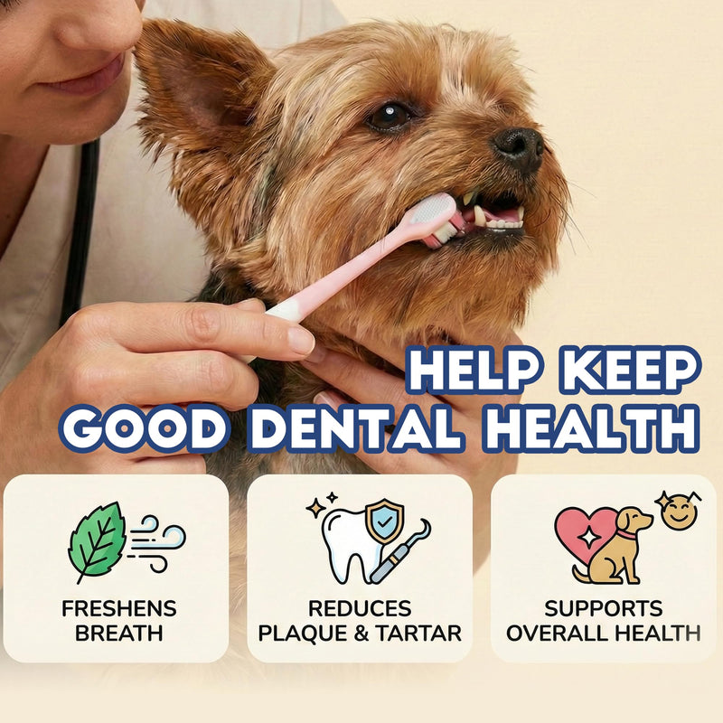 Small Dog Toothbrush, Puppy & Cat Tooth Brushing Kit, Ultra Soft Head Teeth Brush for Kitten & Tiny to Medium Pet, Doggy Toothbrushes Deep Dental Clean, 2 PCS, Pink Blue 1 Count (Pack of 2)