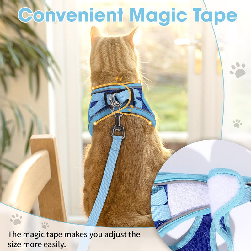 Cat Vest Harness and Leash Set for Walking, Escape Proof, Adjustable Kitten Harness, Breathable Mesh with Reflective Strips, Detective Conan-Inspired Design, Blue, Medium M - PawsPlanet Australia