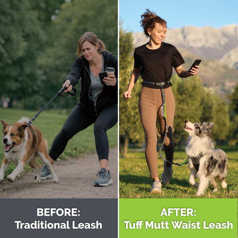 Tuff Mutt Hands Free Dog Leash for Walking Running Hiking, Waist Leash with Bungee, Adjustable Belt, Reflective Double Handle Design for Large Medium Dogs green/gray