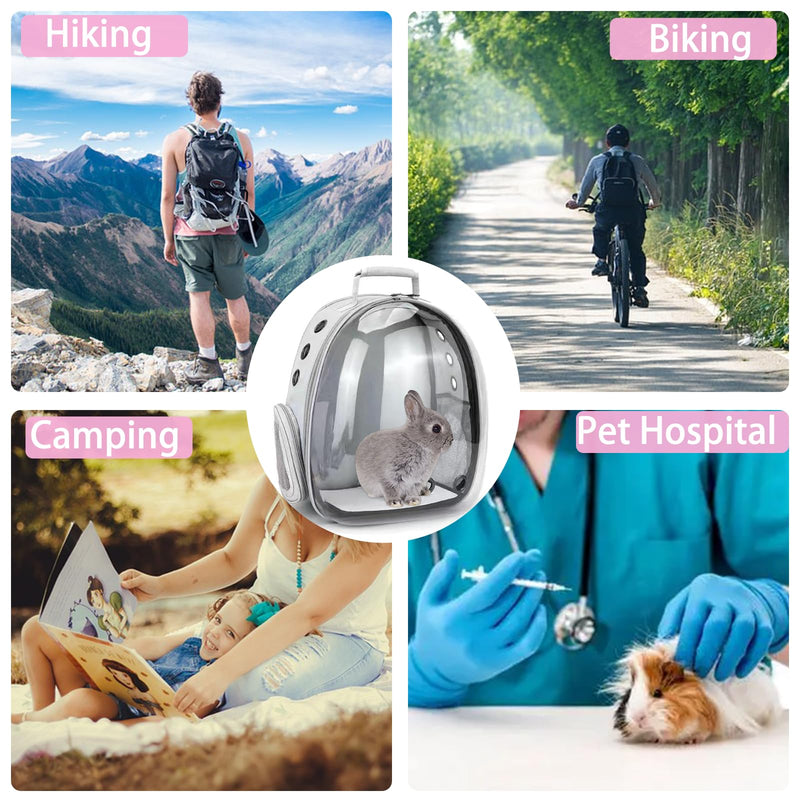 Small Pet Carrier Backpack Rabbit Carrier with Harness Vest Stretchy Elastic Leash Large Breathable Pet Carrier Airline Approved for Bunny Guinea Pig Ferret Hedgehog Kitten Travel Walking Rabbit Carrier Backpack - PawsPlanet Australia