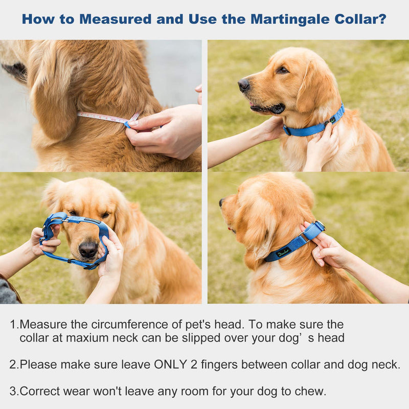Martingale Dog Collar, Escape-Proof and No Slip Design, Heavy-Duty Nylon with Metal Buckle, Adjustable for Small, Medium & Large Dogs, Colorfast for Training, Daily Walks (Royal Blue, M) Medium: 14"-21" Royal Blue