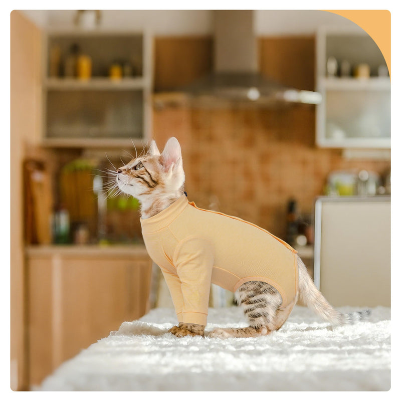 PUMYPOREITY Adjustable Cat Recovery Shirt, Front Leg Injury Suit, Stretchable & Comfortable, Anti-Licking Long Sleeve Wound Cover, Prevents Scratching & Biting, Machine Washable, Orange, L Large