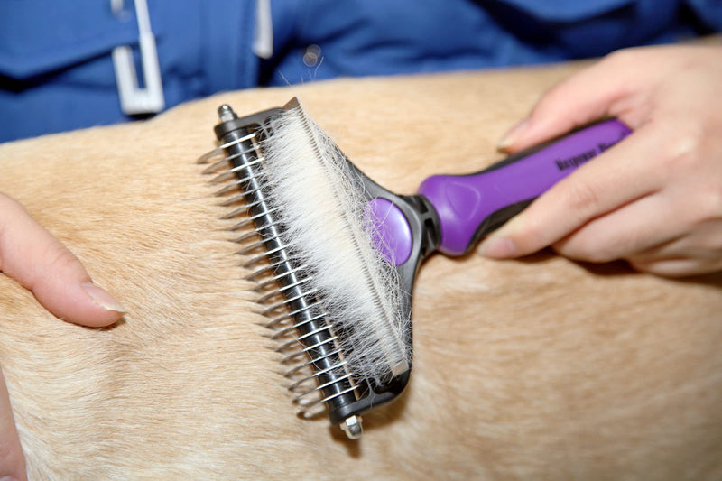 Maxpower Planet Cat Brush Deshedding and Dematting Tool for Dogs Double Sided Undercoat Rake Removes Loose Hair Large Purple - PawsPlanet Australia