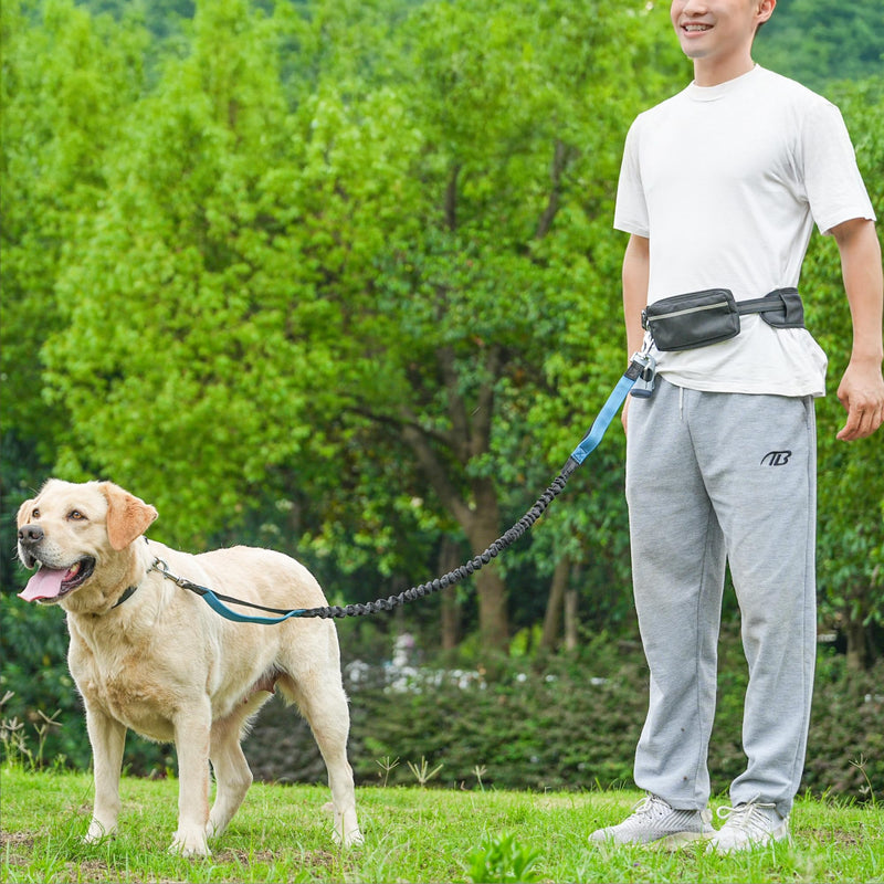 Hands-Free Dog Leash for Dogs up to 130 lbs – Heavy-Duty, Shock-Absorbing Bungee Leash with Zipper Pouch, Dual Padded Handles & Adjustable Waist Belt for Running & Walking – Sky Blue - PawsPlanet Australia
