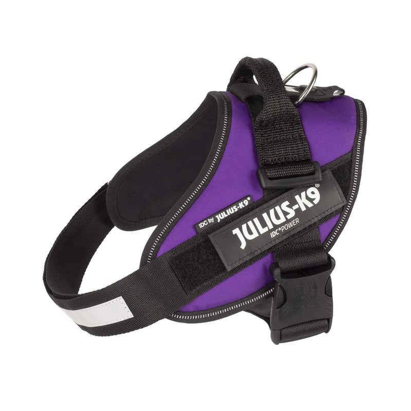 JULIUS-K9 IDC Powerharness, Size: M/0, Dark Purple - PawsPlanet Australia