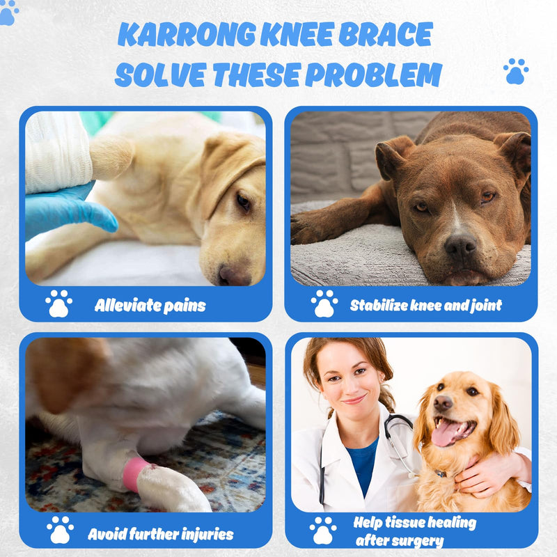 Dog Knee Brace for Torn Hind Leg or Back Leg, Adjustable Dog Leg Brace, Dog Hip Support Brace for Cruciate Ligament Injury Joint Pain Muscle Soreness, Better Recovery Brace Medium - PawsPlanet Australia