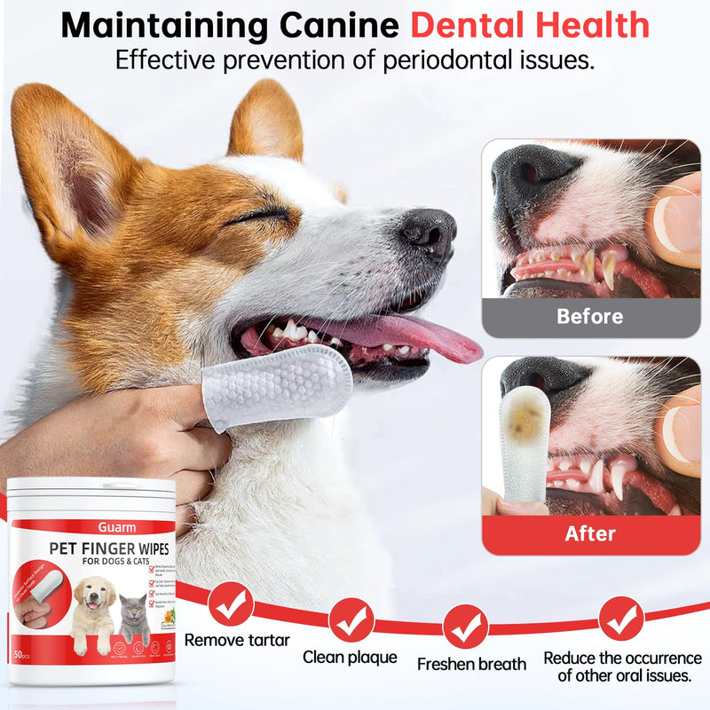 Dog Teeth Cleaning Wipes Cat, Toothbrush Dog Tooth Brushing Kit Puppy Dog Dental Wipes, Dog Teeth Cleaning Kit Cat Dental Care Dog Toothbrush Finger Cats Pet Wipes Dogs Products Pet Supplies, 50Pcs… - PawsPlanet Australia