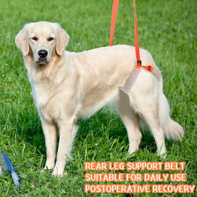 Mixweer 2 Pcs Dog Support Harness for Back Legs Dog Rear Lifting Sling Aid with Handle and Shoulder Strap Hind Leg Support for Pet Mobility Helps Puppy with Poor Stability Joint Injuries(Orange) Orange
