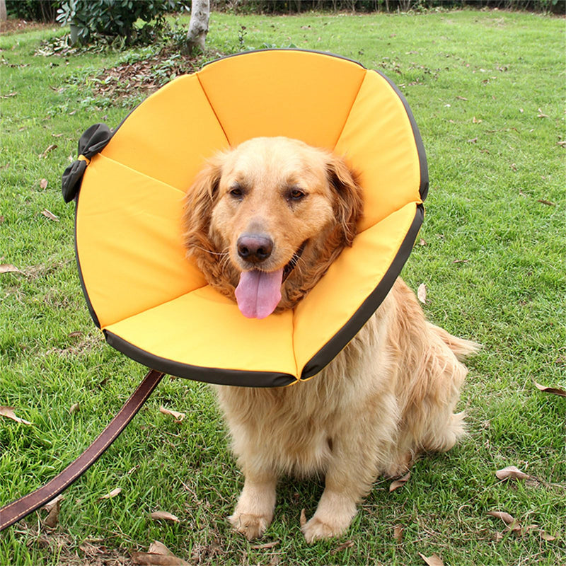 Protector Pet Recovery Holder