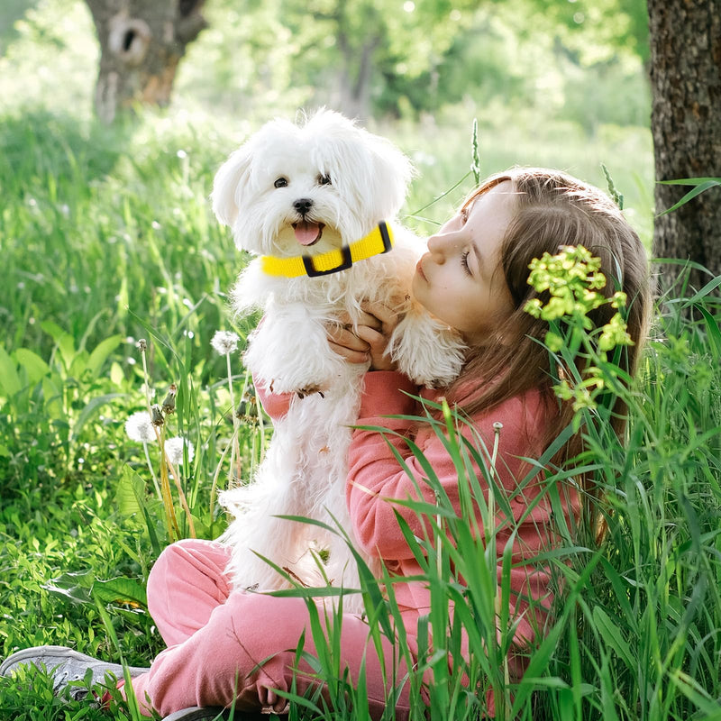 Yellow Dog Collar and Leash Set for Medium Size Dog, Breathable, Anti-Odor & Soft, Comfortable for Sensitive Skin Puppies, 90% Bamboo Rayon, Adjustable Quick-Release Buckle Pet Collar Medium Set Yellow Set - PawsPlanet Australia
