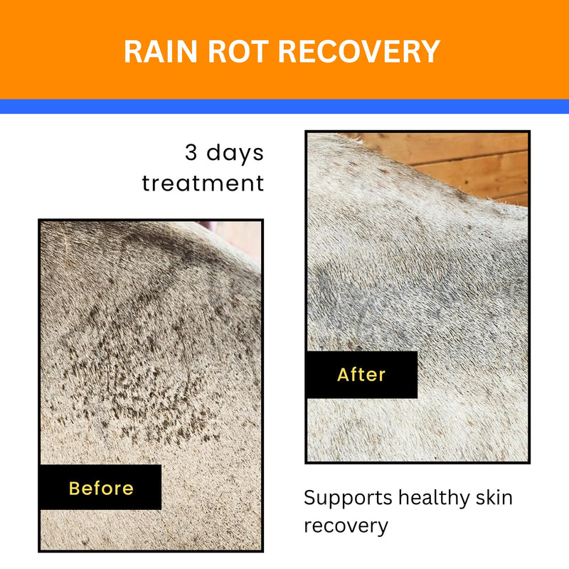 Jazzy’s Cream for Horses | Rain Rot Recovery Support | Equine Skin Cream for Scratches, Wounds & Irritated Skin 4 oz