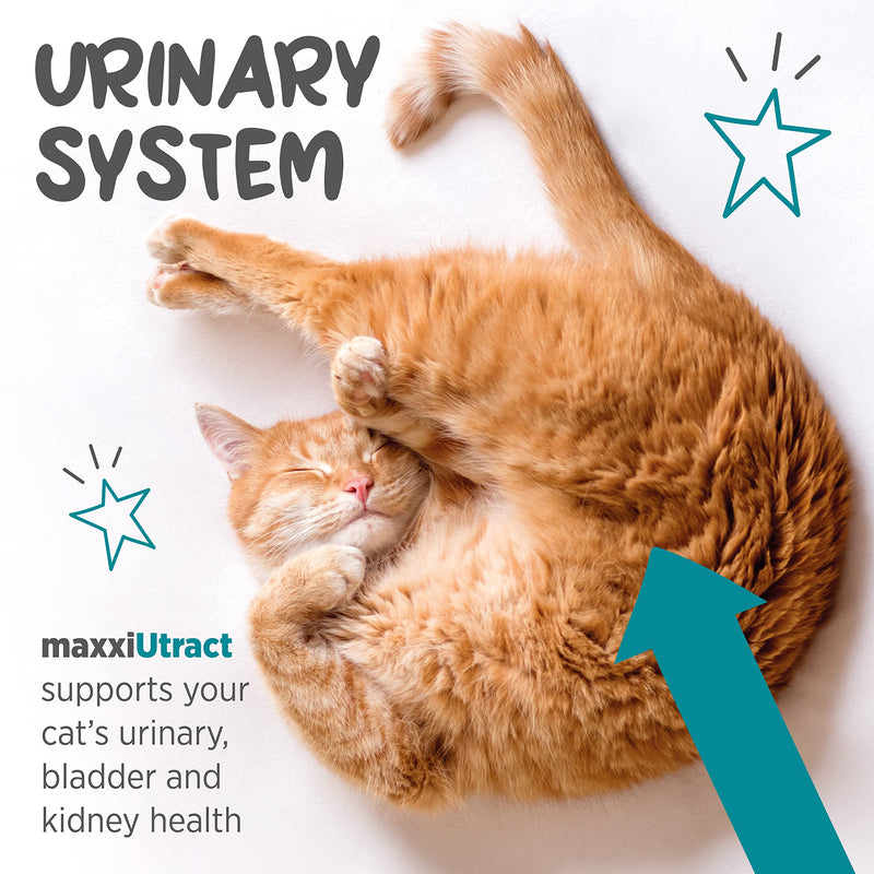 maxxiUtract Urinary and Bladder Supplement for Cats to Help Prevent UTI Recurrence and Support Optimum Urinary Tract Health (2.1 oz) 2.1 Ounce (Pack of 1)