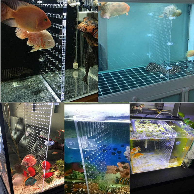 Aquarium Fish Tank Divider Acrylic Isolation Grid Board with Suction Cups Included Clear Fish Separator Transparent Plate Baffle Cover Blocking Fish Partition Net Freshwater Ornament 30*40cm - PawsPlanet Australia